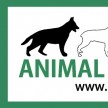 animalhelpline2-1-1.jpg