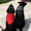bandana1.jpg