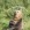 pavaroti1_icon.jpg