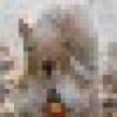squirrel1_icon.jpg