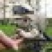squirrel_icon.jpg