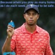 tiger.jpg