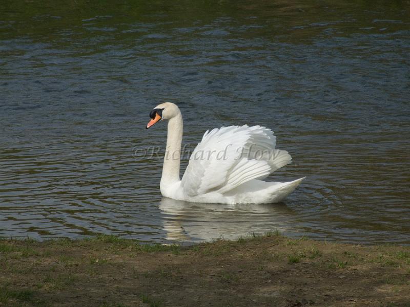 dscf5068.jpg