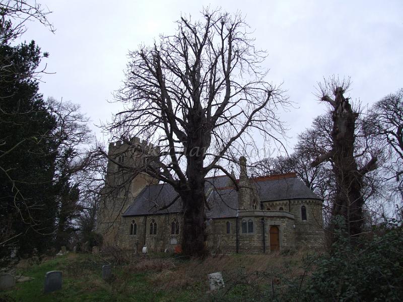 DSCF3655.JPG