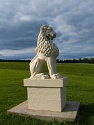 lions4