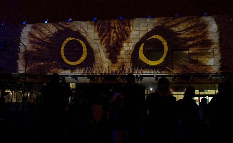owl1.jpg