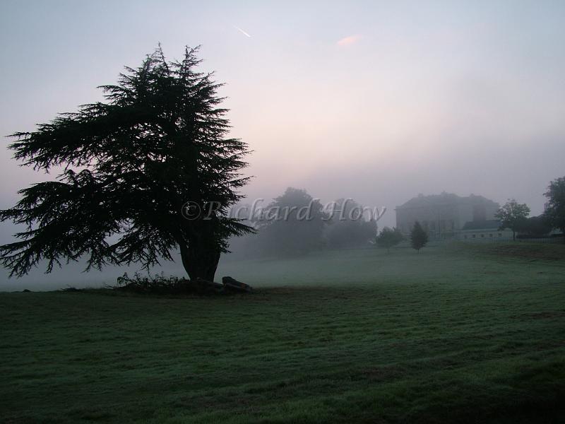 DSCF0222.JPG