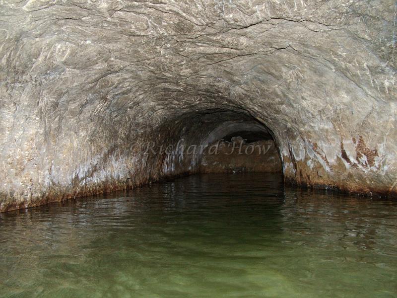 DSCF1217.JPG