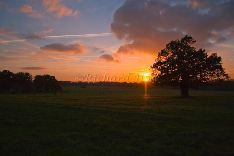 sunset1.jpg