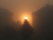 DSCF0257
