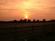 DSCF1904