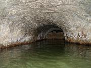 DSCF1217