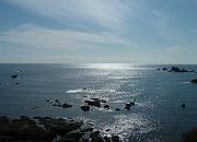 lizardpoint